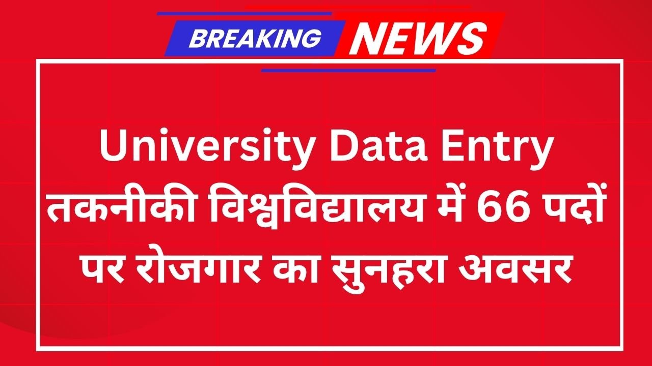 University Data Entry