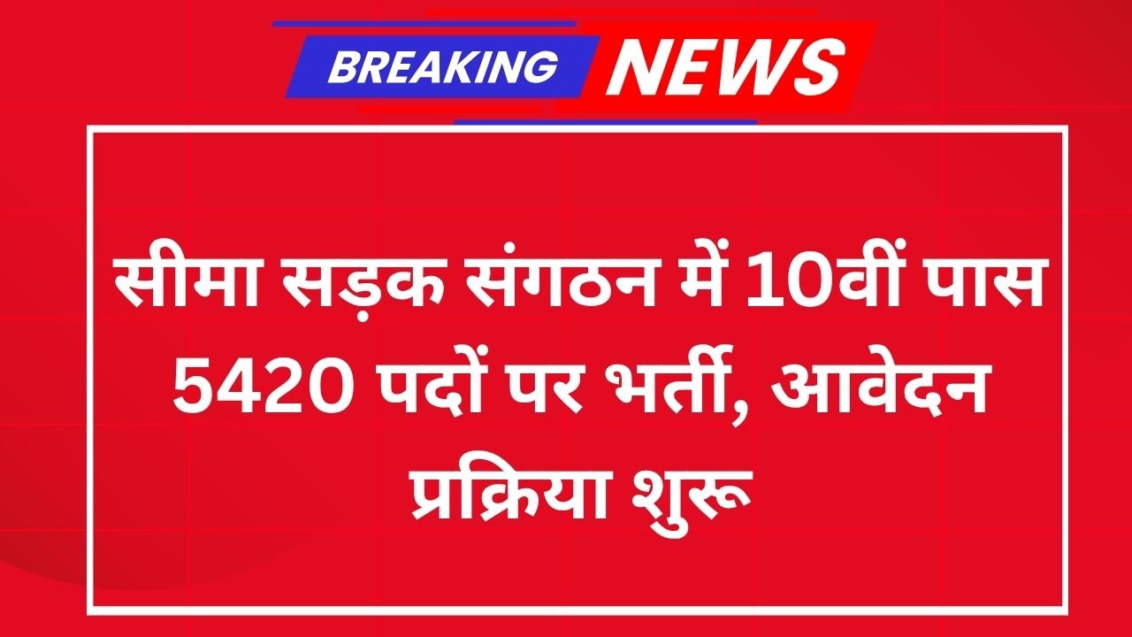 Border Roads Organization Vacancy