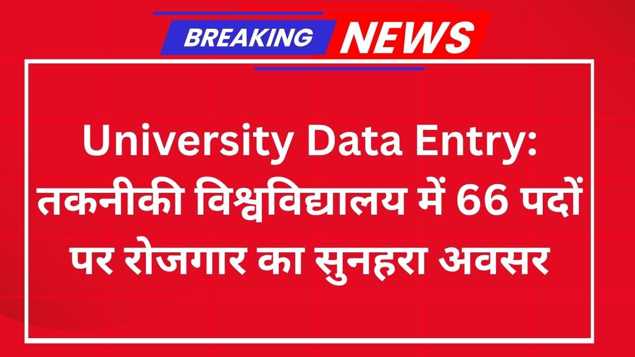 University Data Entry