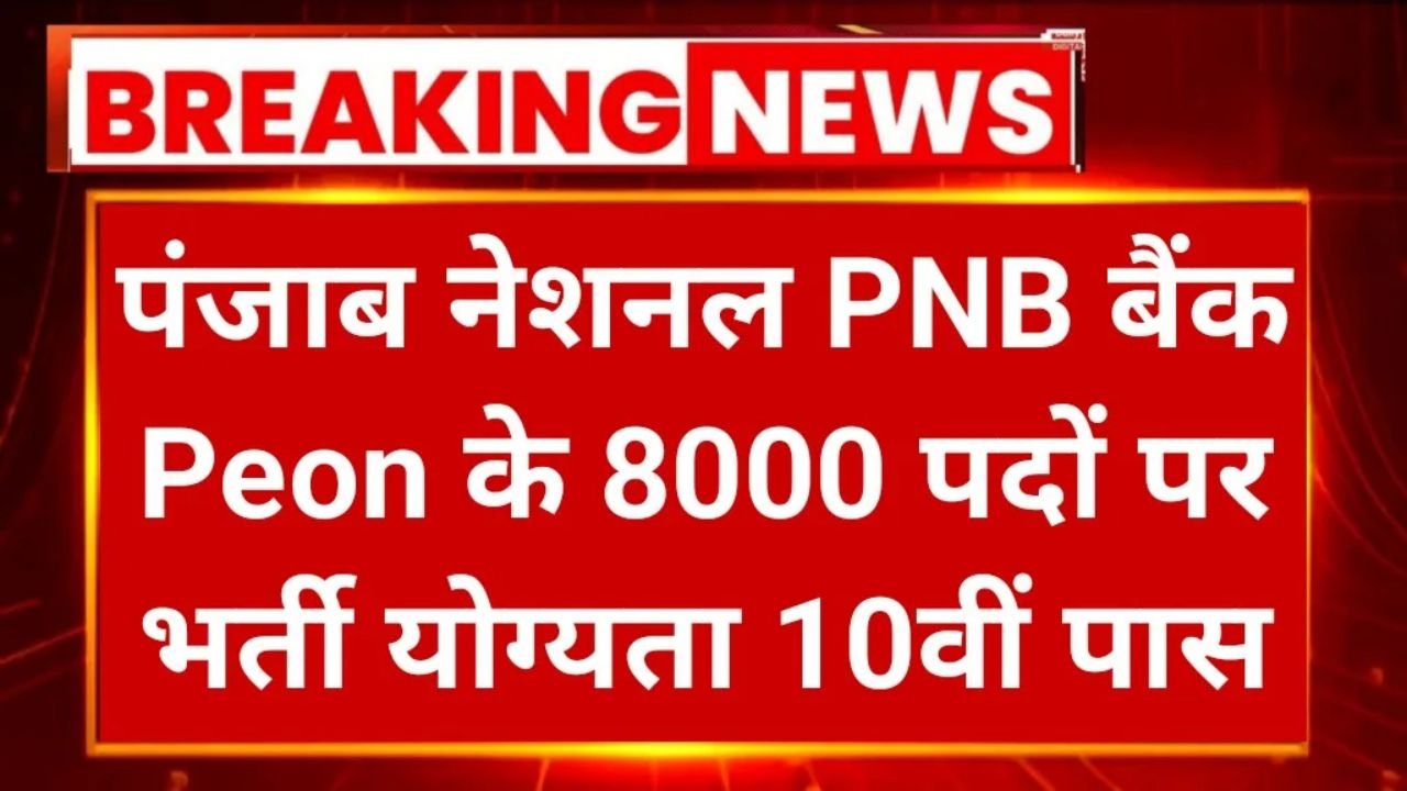 PNB Bank Peon 8K Recruitment